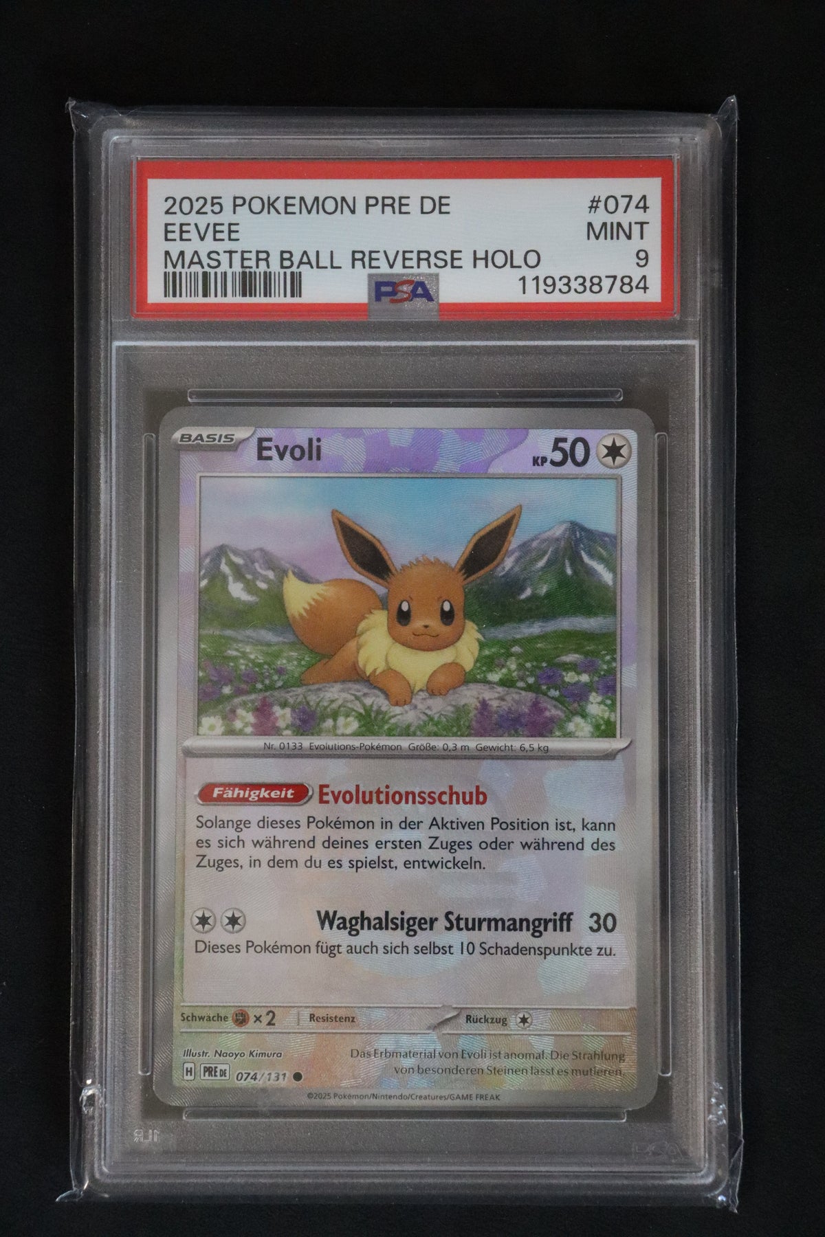 Evoli - Masterball Reverse Holo